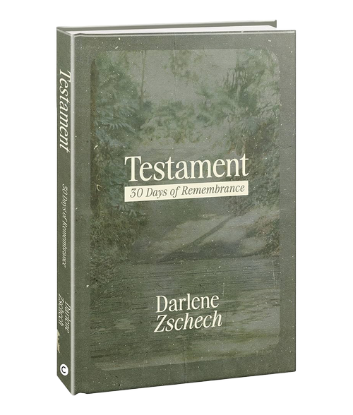 store — Darlene Zschech